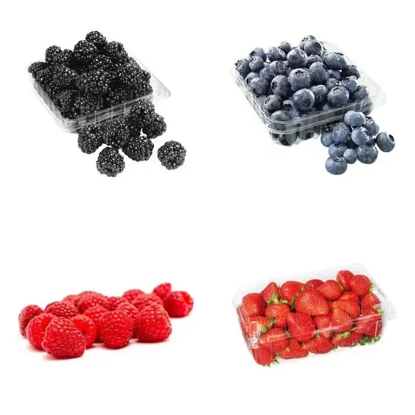 Berries