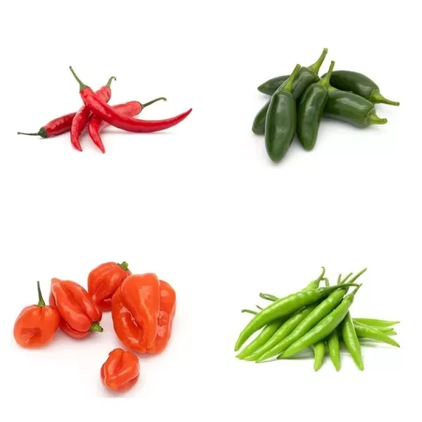 Chilli and Peppers
