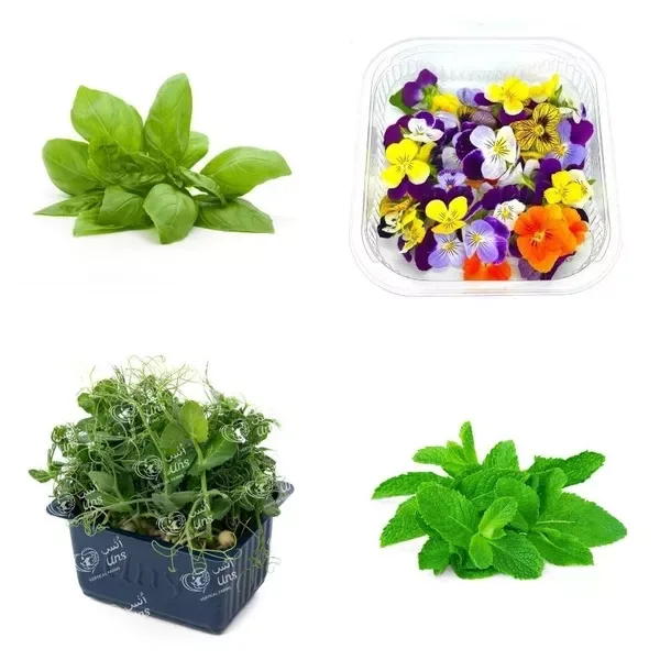 Herbs Micro Herbs and Flowers