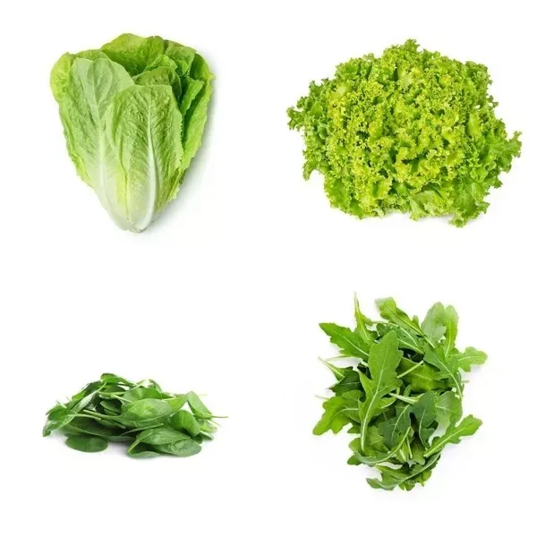 Leafy Greens And Salads