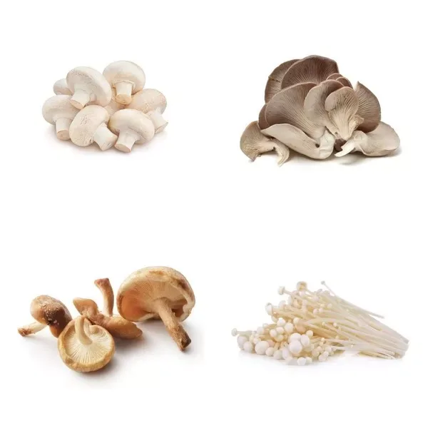 Mushrooms