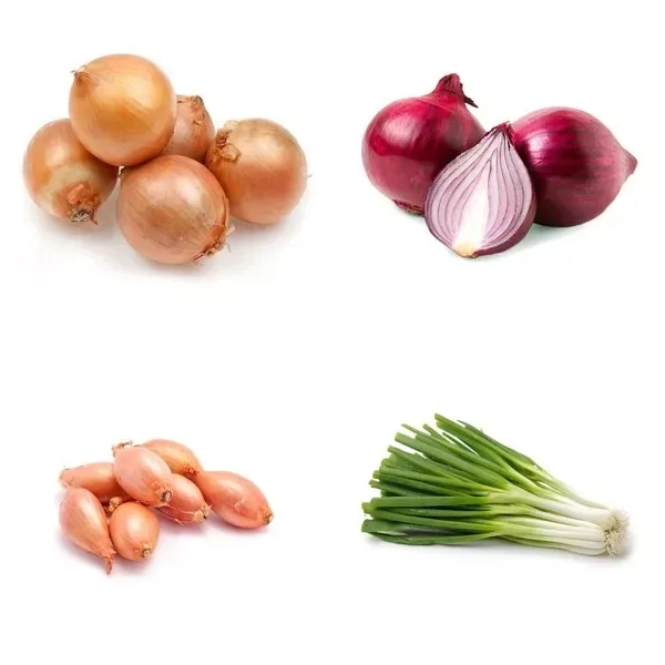 Onions and Shallots