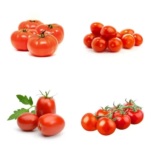 Tomatoes