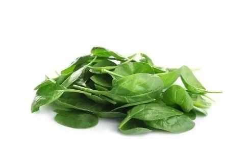 Baby Spinach