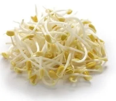 Beans Sprout