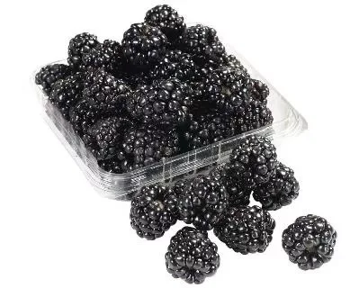 Blackberry