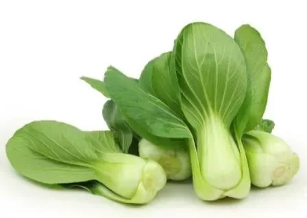 Bok Choy Baby