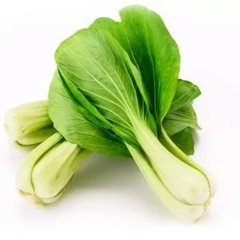 Bok Choy Large