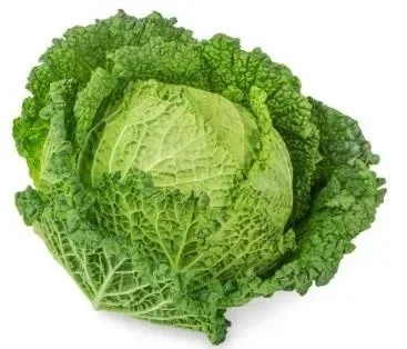 Cabbage Savoy
