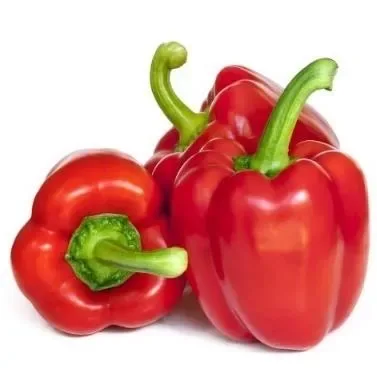 Capsicum Red