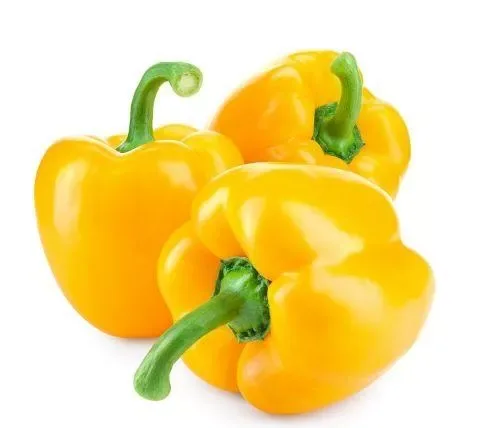 Capsicum Yellow