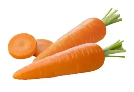 Carrot Holland
