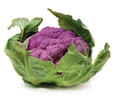 Cauliflower Purple