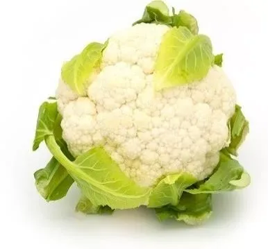 Cauliflower Spain Fresh Cauliflower