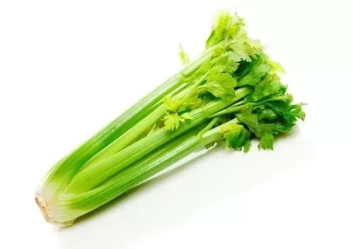 Celery Stick