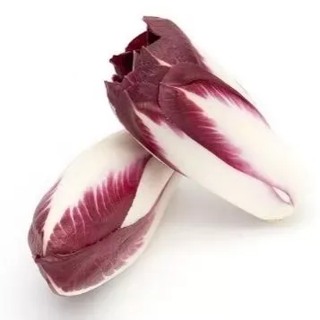 Chicory Red