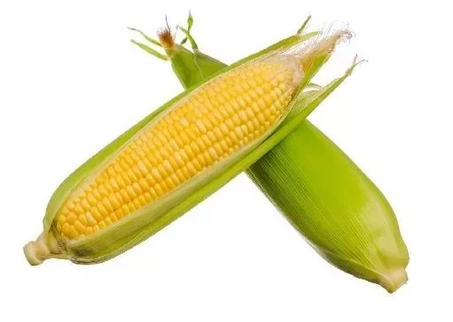 Corn Sweet