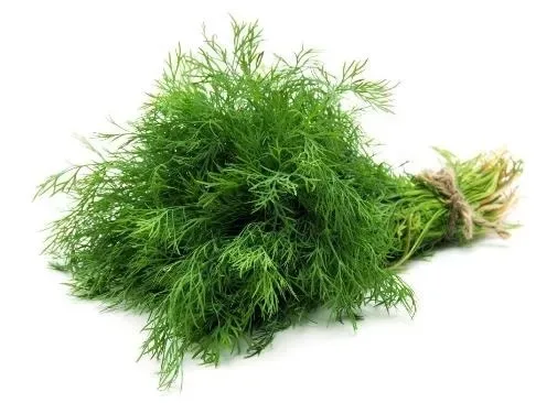 Dill
