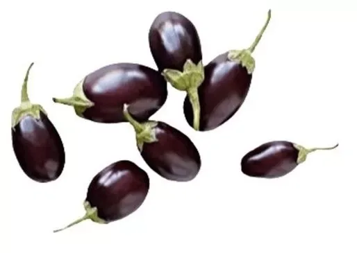 Eggplant Baby
