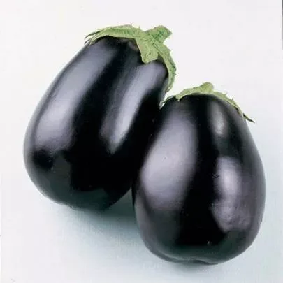 Eggplant Dutch