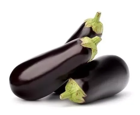 Eggplant Holland