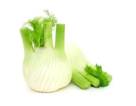 Fennel Baby