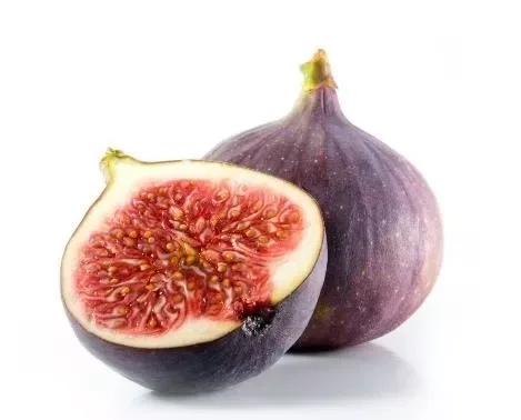Fig