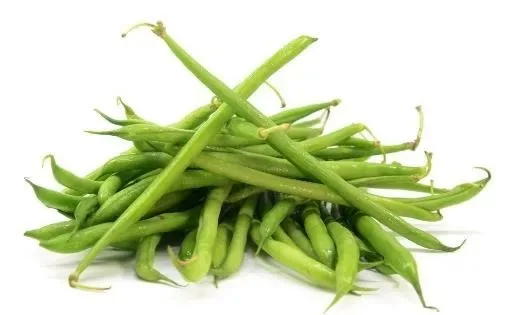 Fine Kenya Bean