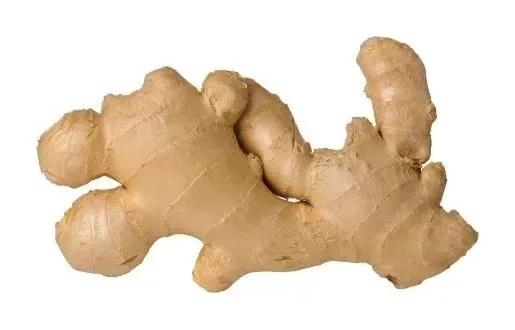 Ginger Root