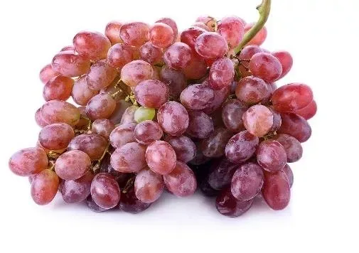 Grapes Red
