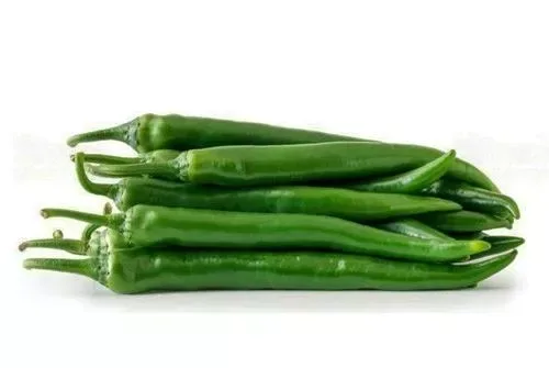 Green Chilli Holland