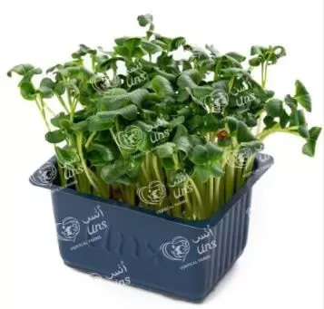 Green Radish Cress