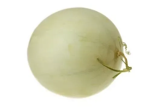 Honeydew Melon