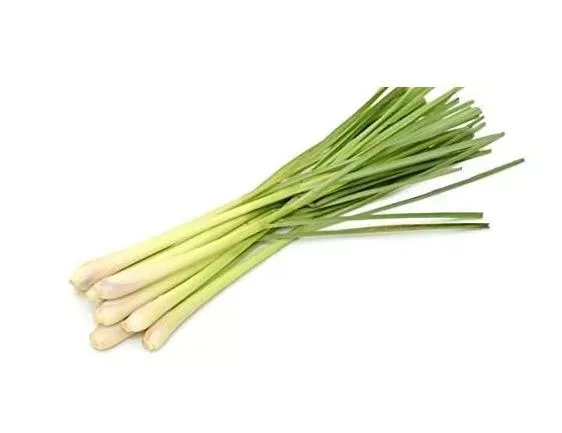 Lemon Grass