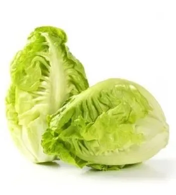 Lettuce Baby Gem