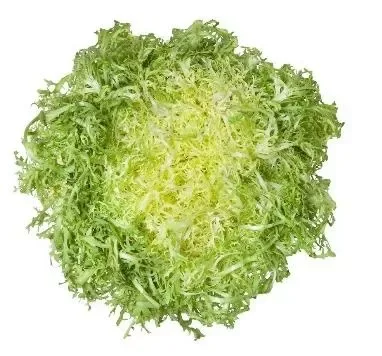 Lettuce Friessie Yellow