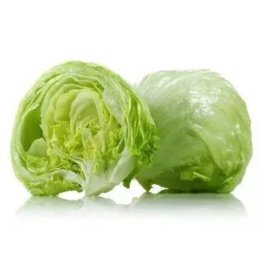 Lettuce Iceberg