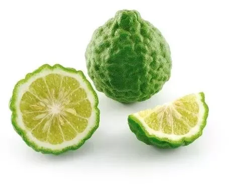 Lime Kaffir