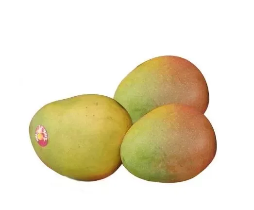 Mango Austrailia