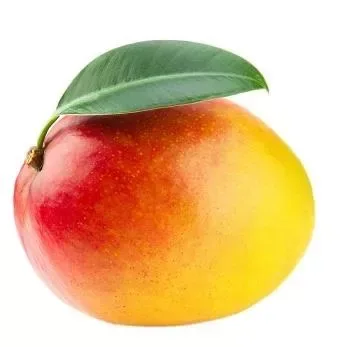 Mango Brazil