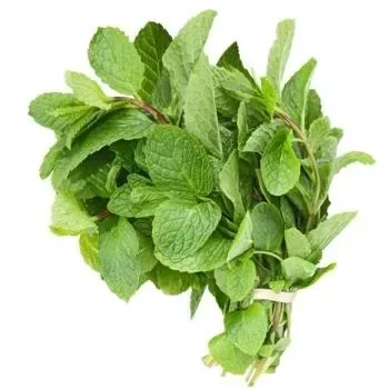 Mint Local
