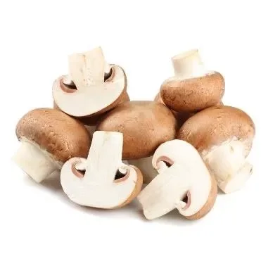 Mushroom Brown