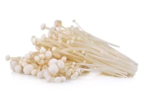 Mushroom Enoki
