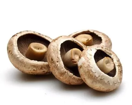 Mushroom Portobello