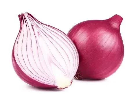Onion Red Holland