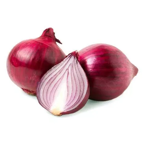Onion Red Indian