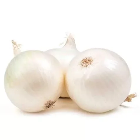 Onion White