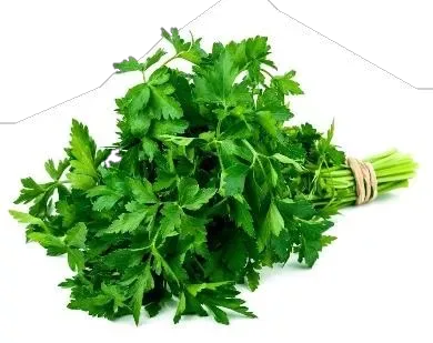 Parsley