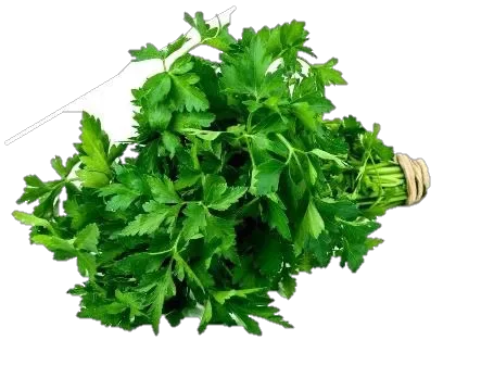 Parsley 2