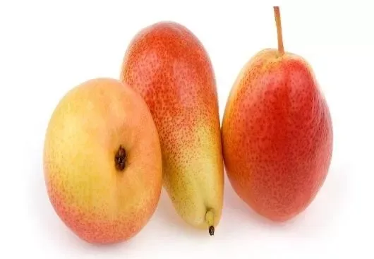 Pears Forelle